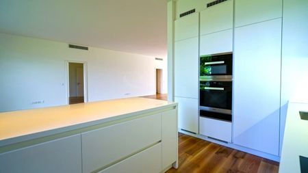 Paradiso - 5.5-room luxury apartment with garden and lake view - Photo 5