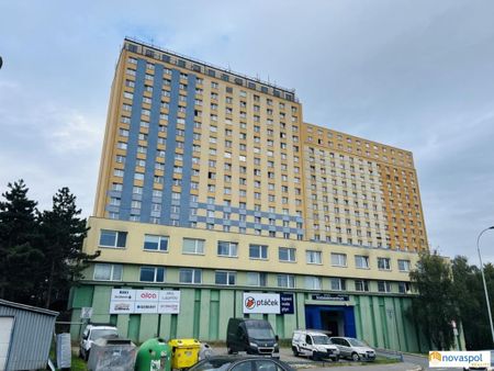 Pronájem bytu 2+1 40 m2 - Fotografie 5