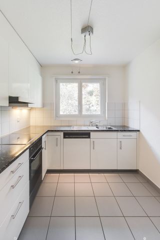 "Wunderschöne Alpen- / Seesicht und Gartensitzplatz" - Foto 3