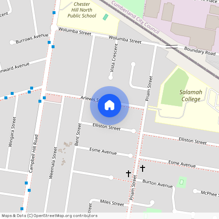 13 Arlewis Street, NSW 2162, Chester Hill