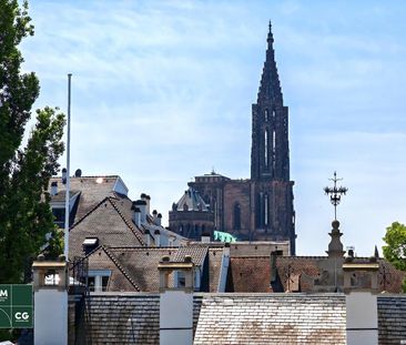 Location Appartement 3 pièces 78m² STRASBOURG 67000 - Photo 6