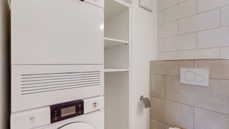 Moris Le nouveau lotissement haut de gamme de Liestal - Photo 4