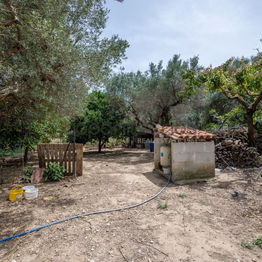 Διαμέρισμα για ενοικίαση Ψαθόπυργος (Ρίο) - Photo 1