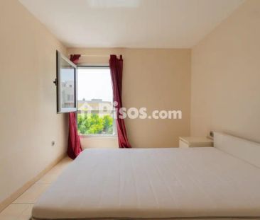 Piso en alquiler en Acorán - Photo 4