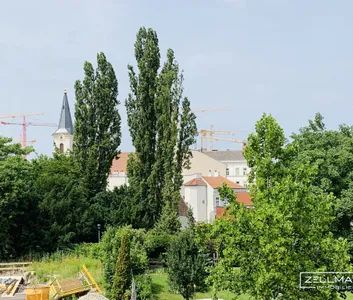 lichtdurchflutetes Dachgeschoss mit Charme und Freifläche | ZELLMANN IMMOBILIEN - Foto 1