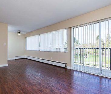 Park Villa Apartments - 1 Bedroom - Photo 5