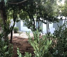 Μονοκατοικία για ενοικίαση - Χαλάνδρι - Φωτογραφία 6