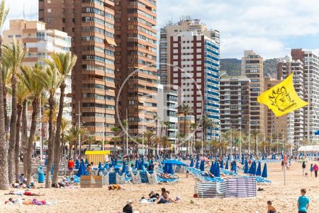 Benidorm, Valencian Community 03502 - Photo 3