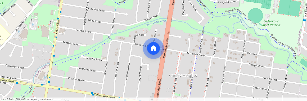 54 Ferngrove Road, Canley Heights, NSW 2166