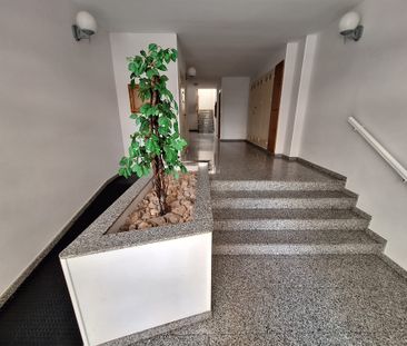 Ref. 7423 2 Bedroom Apartment in Torrevieja - Photo 5