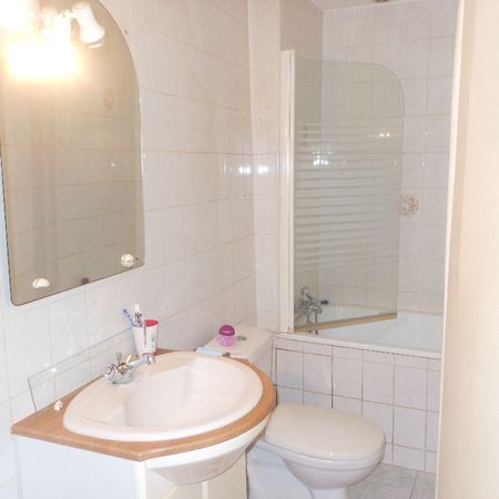 Location Appartement 1 pièce 19m² - Photo 3