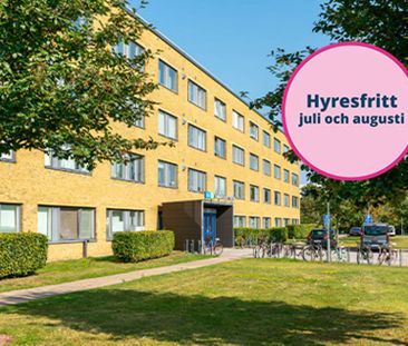 Cronquists gata 10, Flensburg - Photo 6