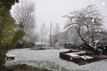 Prachtig gelegen landelijke woning in Bornem - Foto 2