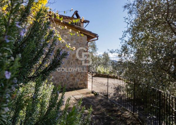 via miramare, 3, Camaiore, Tuscany 55041