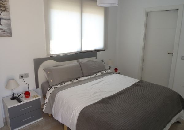 15 Sinergia World II – Id. 428