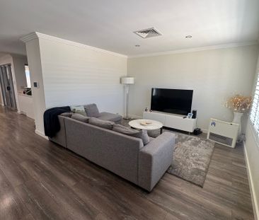 Marangaroo - Photo 4