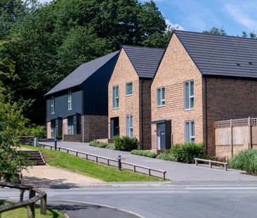 2 Bedroom House To Rent - Photo 5