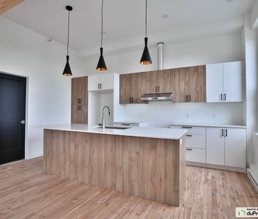 4-59, rue St. Viateur, Le Plateau-Mont-Royal à louer - Photo 2