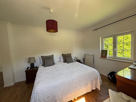 Fully Furnished 4-Bedroom Apartment with spacious terrace - Photo 3