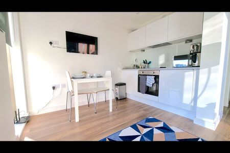 Studio Flat, Gradwell Street, L1 - Photo 4