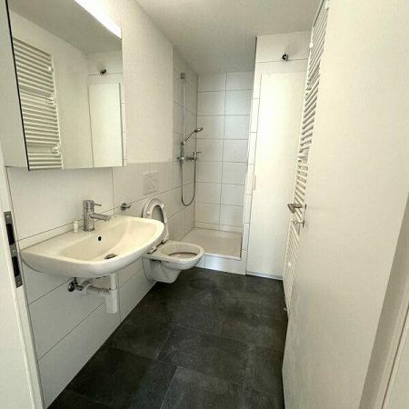 Renovierte & schöne 2.0Zi-Wohnung zu vermieten - Photo 4