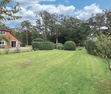 1 bedroom ground floor flat to rent - Photo 4