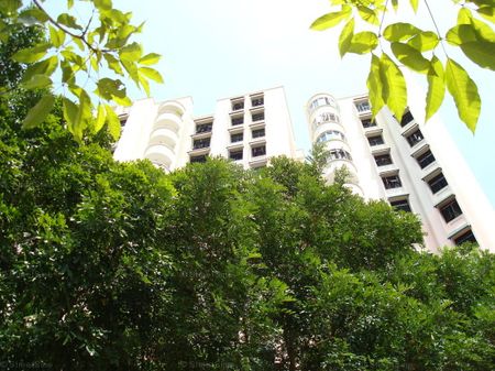 Blk 339B Sun Trellis (Sembawang), HDB 4 Rooms - For Rent - Photo 5