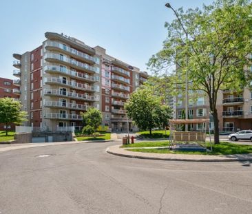 7340 Imp. St-Zotique, app.106, H1M 3V4, H1M 3V4, Montréal - Photo 5