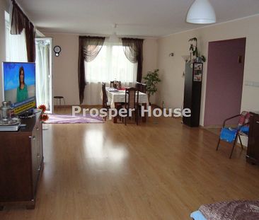 Warszawa, Włochy, Paluch - Zdjęcie 2