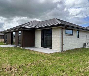 Near New Executive Home - Photo 5