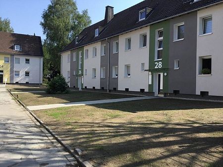 Hübsche 2-Raum DG Wohnung mit großer Küche sucht Sie! - Foto 4