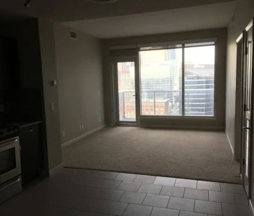 Downtown 2BR/2BA High Rise Condo for Rent - cozy and modern | 1320 ... - Photo 1