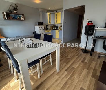 Lista mieszkań w naszej ofercie - Zdjęcie 1