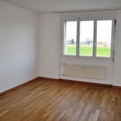 Nicht nur perfekt für Singles! - Photo 4