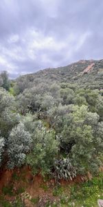 Location Appartement 1 pièce 20m² AJACCIO 20000 - Photo 4