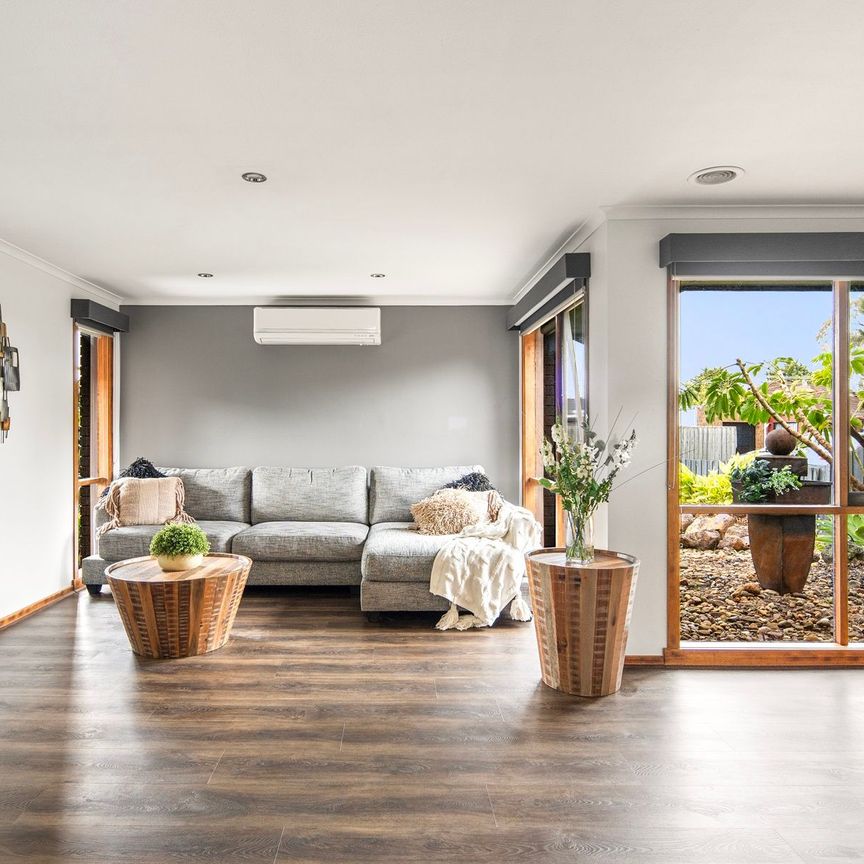 Everybody Needs A Snead! - Photo 1