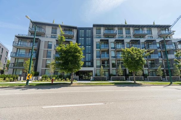 5212 Cambie Street #41X, Vancouver, BC V5Z2Z7 - Photo 1