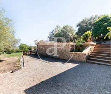 Country house for rent in Ses Coves - Photo 4
