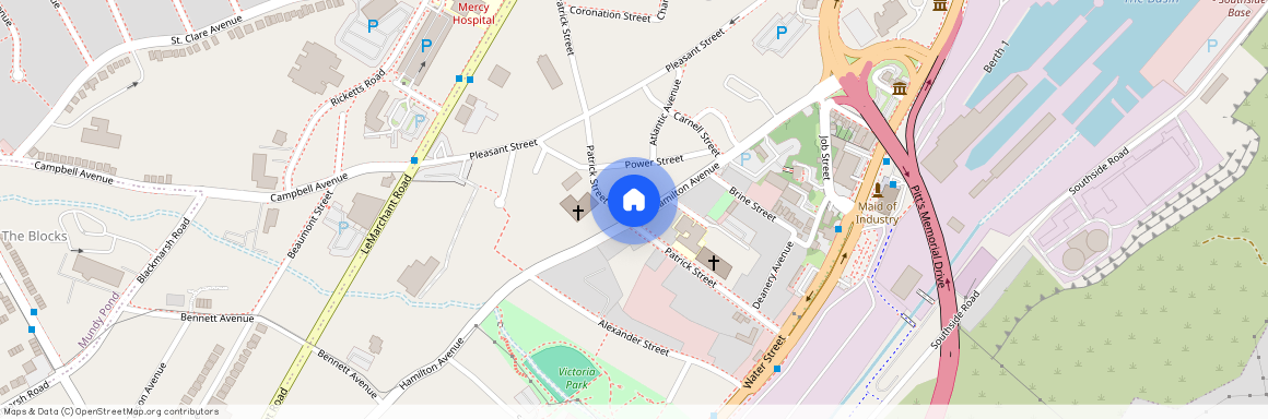 92 Patrick Street, A1E2S8, St. John'S