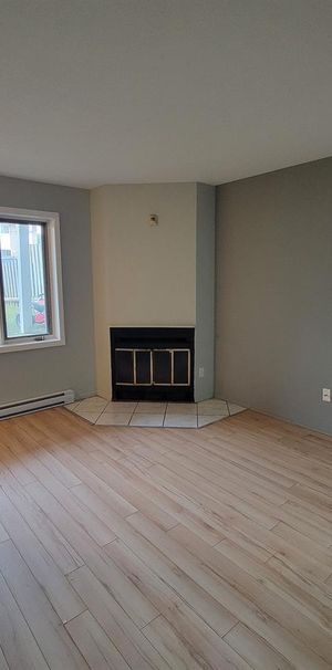 217 Chemin De La Savane (Gatineau) Super Appartement 3 1/2, Dans Un Quartier Résidentiel Très Tranquille. - Photo 1