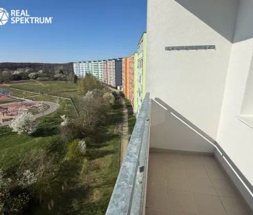 Byt 1+1 s lodžií na pronájem, 42 m - Fotografie 6