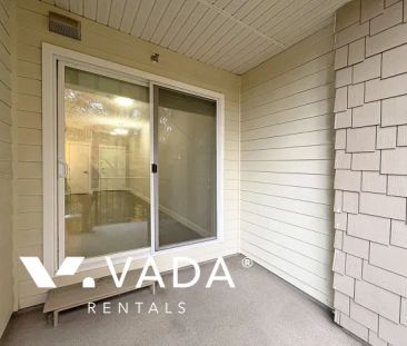 1 Bedroom Apartment For Rent in Port Coquitlam - Photo 6