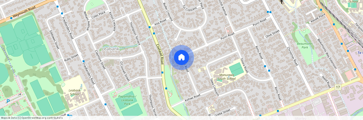 34 Puriri Road, Manurewa, Manukau City