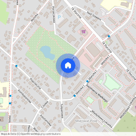 Brodnica