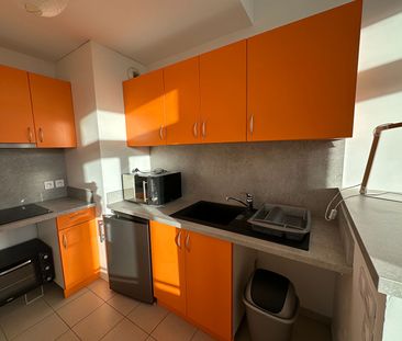 Location Appartement 1 pièce 22m² - Photo 5