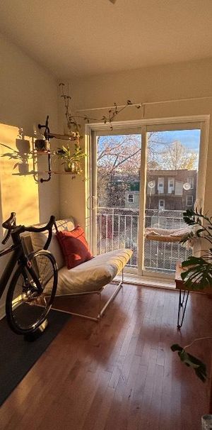 Cession de bail, grand 41/2 lumineux, Hochelaga - Photo 1