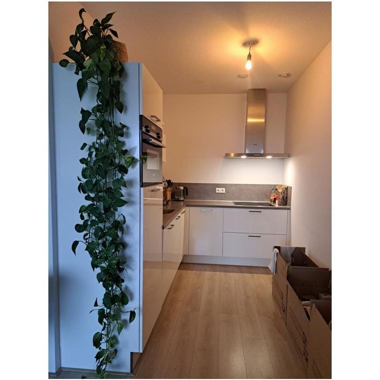 Fultonbaan 5-13, Rijnhuizen, 3439NE, Nieuwegein - Photo 1