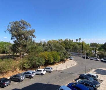 Lisboa, Lisbon - Photo 4