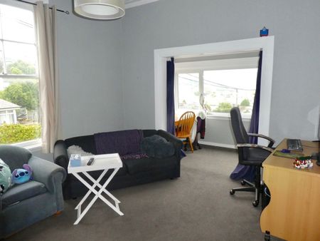 Spacious Flat - Photo 4