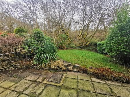 3 bedroom semi-detached house to rent - Photo 3